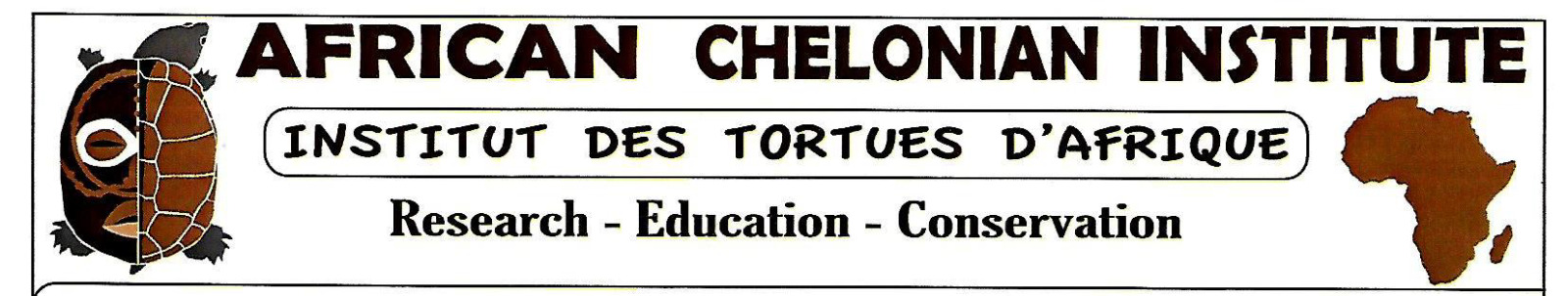Institut des Tortues d'Afrique 