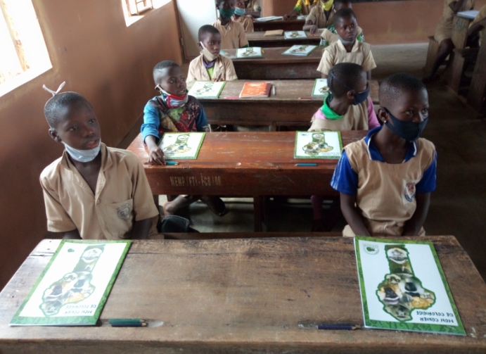 Chasseurs, élèves et chercheurs ensemble pour la conservation des primates menacés du Bénin, Phase 2